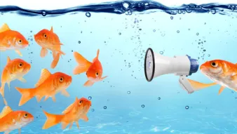 Le plan de communication d'un projet DMAIC